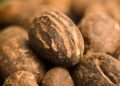 Nigeria bans exports of raw shea nuts used for cosmetic products to help grow its economy – AP News