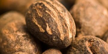 Nigeria bans exports of raw shea nuts used for cosmetic products to help grow its economy – AP News