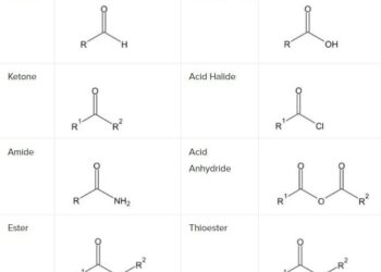 Significance of carbonyl compounds to photochemical ozone formation in a coastal city (Shantou) in eastern China – ScienceDirect.com