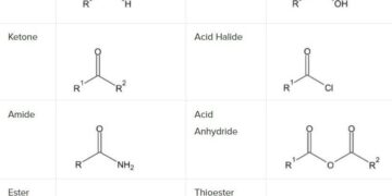 Significance of carbonyl compounds to photochemical ozone formation in a coastal city (Shantou) in eastern China – ScienceDirect.com