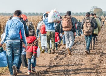 Over 1,700 people displaced in Sudan’s Kordofan, Darfur amid worsening insecurity: UN migration agency – Anadolu Ajansı