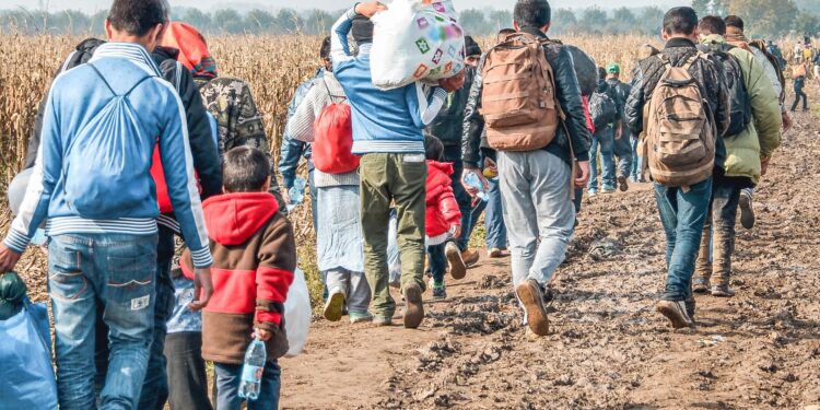 Over 1,700 people displaced in Sudan’s Kordofan, Darfur amid worsening insecurity: UN migration agency – Anadolu Ajansı
