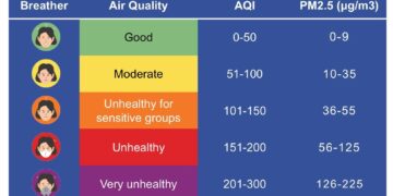 AQI deteriorates to hazardous levels for few hours in Hyderabad as Deepavali celebrations light up the night – The Hindu