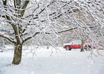 Real-world use cases for zeroemission trucks: Dump trucks for construction in Zhengzhou, China – electrive.com