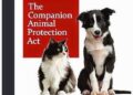 New survey in Dalian, China finds strong public support for companion animal protection and ending the dog and cat meat trade – Humane World for Animals