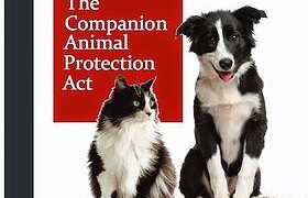New survey in Dalian, China finds strong public support for companion animal protection and ending the dog and cat meat trade – Humane World for Animals