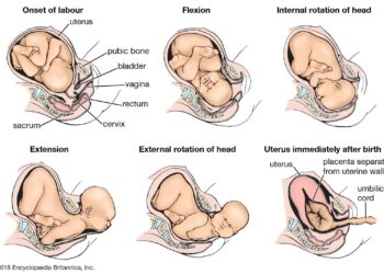 I gave birth as Gaza burned. What world will greet our next child? – Middle East Eye