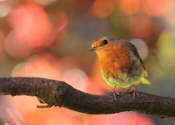 On expands in China with Chengdu flagship, 100-store plan – Jing Daily