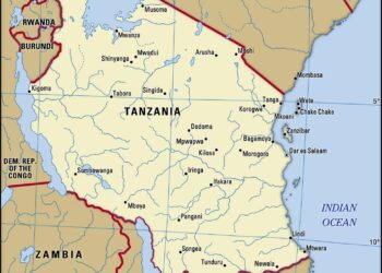 Tanzania seeks to strengthen economic cooperation with China’s Shaanxi Province – Xinhua