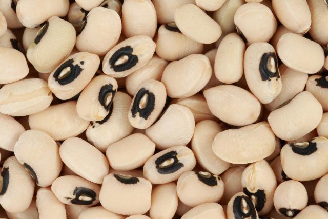 The cowpea farmer breaking norms in Nigeria – Gates Foundation