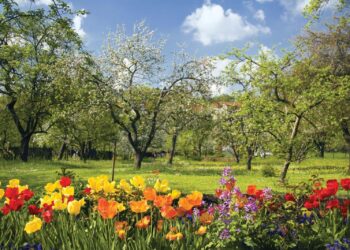 Springing into action – China Daily