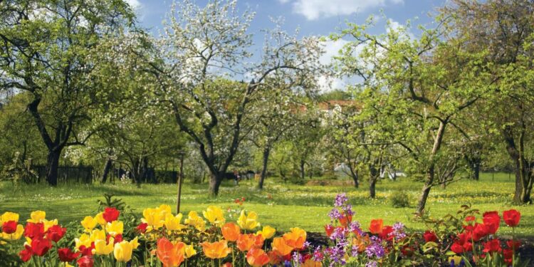 Springing into action – China Daily