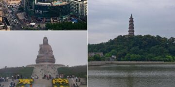 Foshan launches citywide campaign to combat chikungunya by clearing mosquito breeding grounds – Global Times