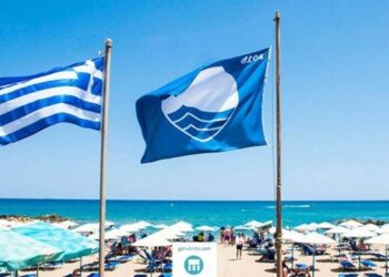 Blue Flag beaches in Cape Town – Time Out