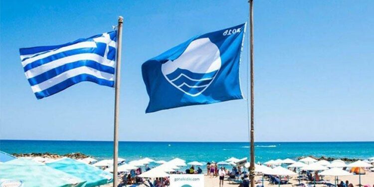 Blue Flag beaches in Cape Town – Time Out