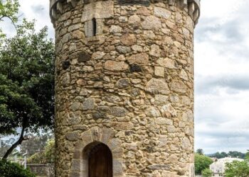 Worker dies after medieval tower collapses in Rome – The New Daily