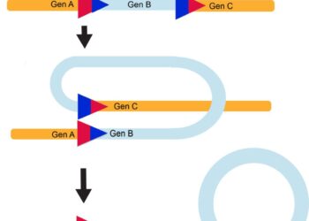CRE (Shenyang) Hub ranks 1st for train trips – shenyang.gov.cn