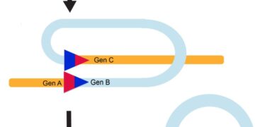 CRE (Shenyang) Hub ranks 1st for train trips – shenyang.gov.cn