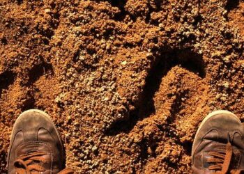 Elea signs MoU with Tapestry to secure 1.5 GW of energy capacity for Rio AI City – BNamericas