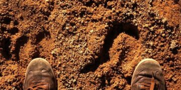 Elea signs MoU with Tapestry to secure 1.5 GW of energy capacity for Rio AI City – BNamericas