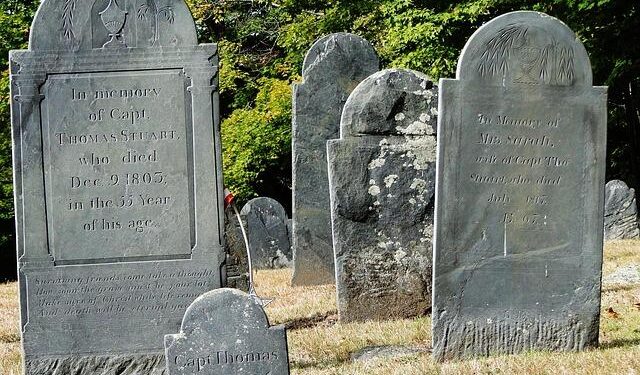 Paris launches lottery for burial plots near Piaf, Morrison or Chopin – France 24