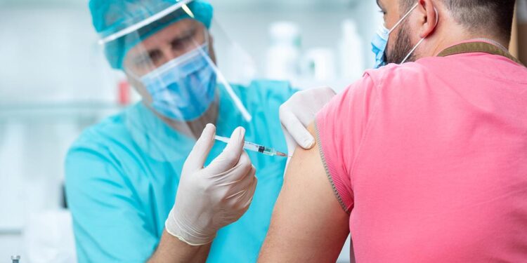 Pet dogs can get vaccinated over next three Sundays: GCC – The Times of India