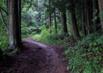 Yuva Shibir 2025: ‘Lions of BAPS’, Ahmedabad, India – BAPS Swaminarayan Sanstha