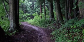 Yuva Shibir 2025: ‘Lions of BAPS’, Ahmedabad, India – BAPS Swaminarayan Sanstha