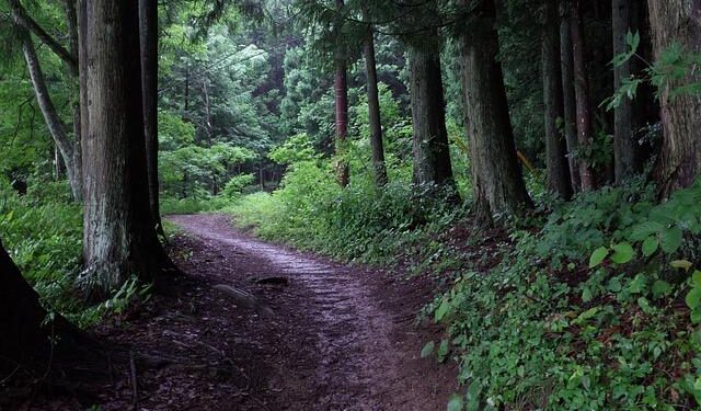Yuva Shibir 2025: ‘Lions of BAPS’, Ahmedabad, India – BAPS Swaminarayan Sanstha