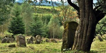 China’s Jewish community offers help with rebuilding after Iran war – Ynetnews