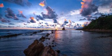 Sour Puss booze brand moves some production to Canada – Toronto Sun