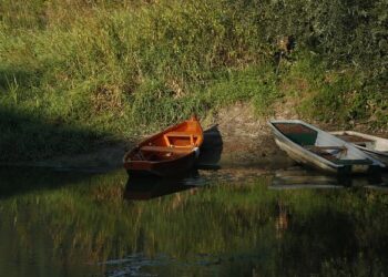 Fact-checking Helen Zille’s claims about Johannesburg’s water crisis – Africa Check