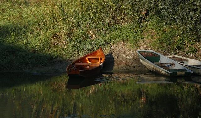 Fact-checking Helen Zille’s claims about Johannesburg’s water crisis – Africa Check