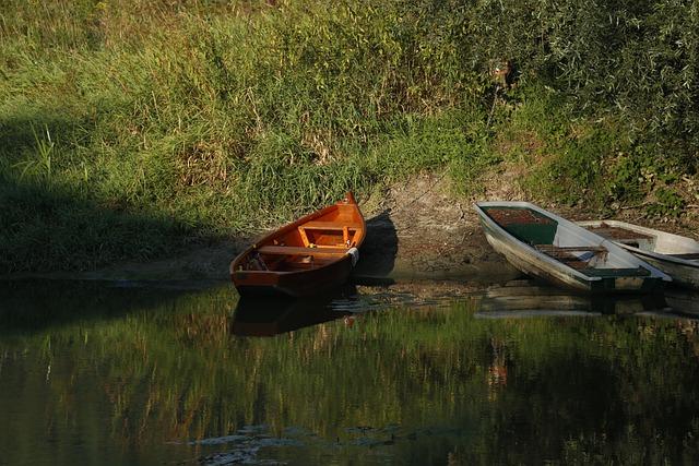 Fact-checking Helen Zille’s claims about Johannesburg’s water crisis – Africa Check