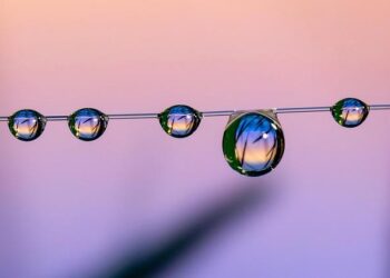 Marco Rubio Praises India’s Handling Of Delhi Red Fort Blast Probe, Says India Doesn’t Need US Help – Times of India