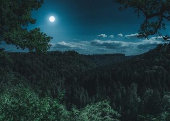 ATS team in Guj to question terror suspects – The Times of India