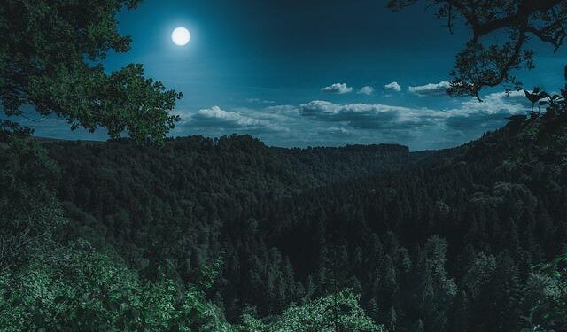 ATS team in Guj to question terror suspects – The Times of India