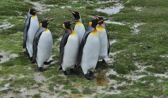 Morgan Stanley questioned by US House panel over Zijin Gold IPO in Hong Kong – Reuters