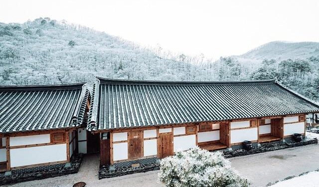 Asian Winter Games Harbin 2025: Preview and full schedule – Olympics.com