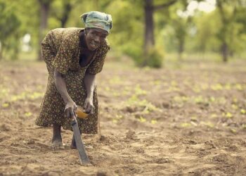 Ghana’s TVET Enrolment Jumps 270% As Vocational Education Gains New Momentum – Modern Ghana