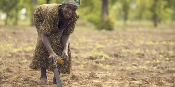 Ghana’s TVET Enrolment Jumps 270% As Vocational Education Gains New Momentum – Modern Ghana