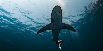 Ghost Shark Factory Opens in Sydney — First Vehicle Off the Line Ahead of Schedule, Ready for Undersea Acceptance Testing – Anduril