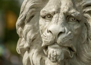 Pakistan’s wild chaos: Runaway pet lion attacks woman and children in Lahore, 3 arrested; watch video – Times of India