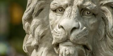 Pakistan’s wild chaos: Runaway pet lion attacks woman and children in Lahore, 3 arrested; watch video – Times of India