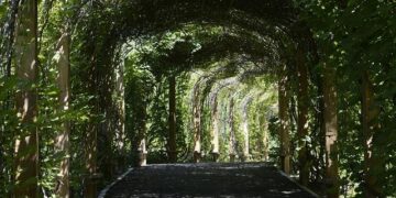 Greetings from Shenyang, China, where workers sort AI data in ‘Severance’-like ways – KUOW