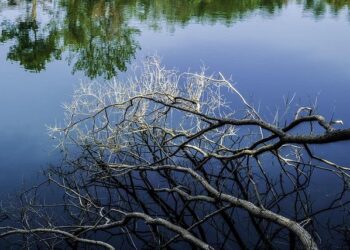 The 2025 Conference on Wang Yangming Mind Philosophy opens in Yuyao, Ningbo – PR Newswire