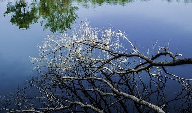 The 2025 Conference on Wang Yangming Mind Philosophy opens in Yuyao, Ningbo – PR Newswire