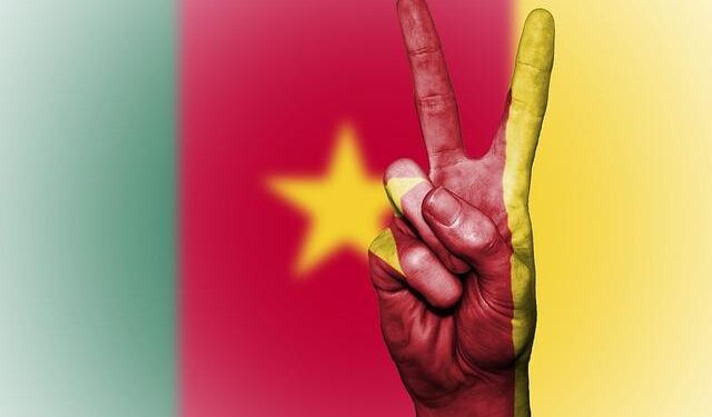 Feature: Cameroonian’s passionate journey in Chinese language – Xinhua