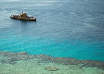 Sheikh Hasina verdict updates: Bangladesh asks Indian government to hand over Hasina, Former Minister Kamal – The Hindu