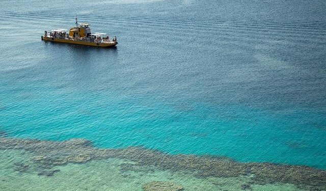 Sheikh Hasina verdict updates: Bangladesh asks Indian government to hand over Hasina, Former Minister Kamal – The Hindu